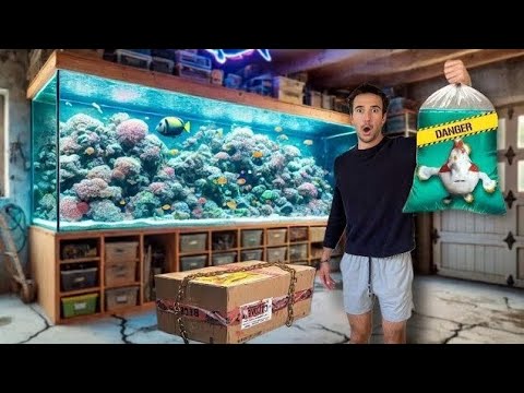 Видео: Покупка неизвестной коробки с рыбой-клоуном в Интернете...