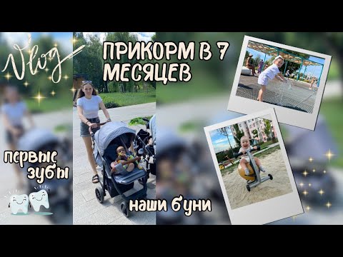 Видео: Все про наш прикорм в 7 месяцев / первые  зубки / встречи мам / прогулка с группой из сада (99)