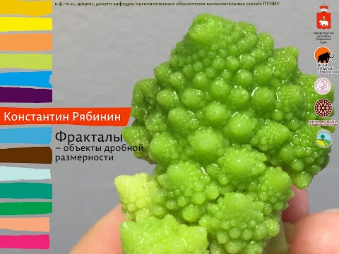 Видео: Константин Рябинин: Фракталы – объекты дробной размерности