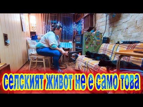 Видео: Живот на село: зазимяване на двора и профилактика на камината