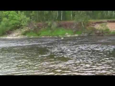 Видео: Очередная без рыбная рыбалка. (Река Ура)