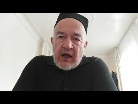 Видео: 12 ноября 2025 г.