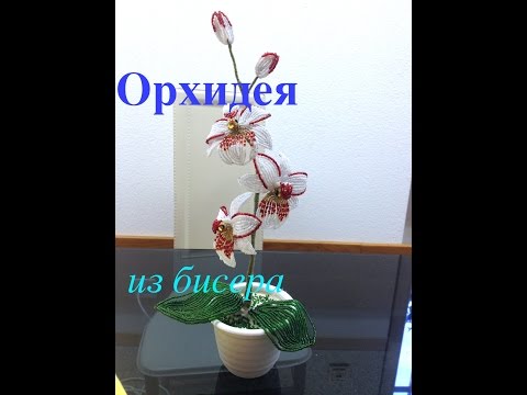 Видео: ОРХИДЕЯ ИЗ БИСЕРА. Часть 1/5. Beaded orchid. DIY. БИСЕРОПЛЕТЕНИЕ ДЛЯ НАЧИНАЮЩИХ