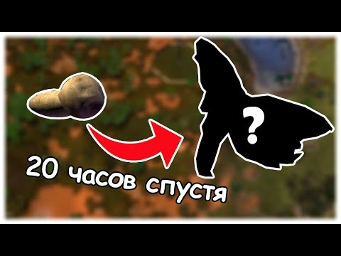 Видео: Как сильно эволюционируют существа за 20 часов || Species
