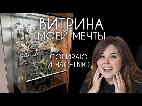 Видео: СОБИРАЮ ВИТРИНУ и заселяю ее растениями