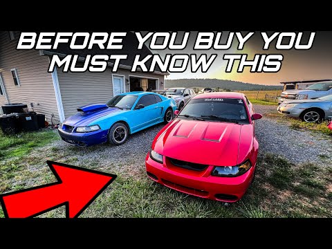 Видео: ПРЕЖДЕ ЧЕМ КУПИТЬ Mustang 9904 ГОДА, ВЫ ДОЛЖНЫ ЭТО ЗНАТЬ!