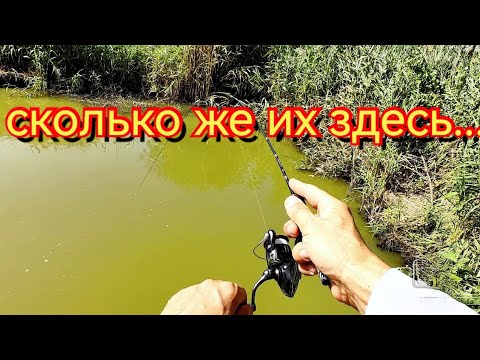 Видео: Мормышинг. Миллион карасей. Ловлю на мормышку.