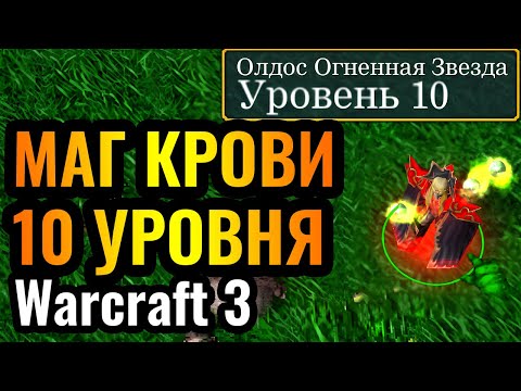 Видео: Самый РЕДКИЙ герой в Warcraft 3 Reforged: Маг Крови 10 уровня