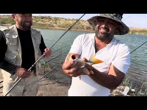 Видео: Гулнора кул баликчилик зур булди 14.09.23 #Рыбакихорезма