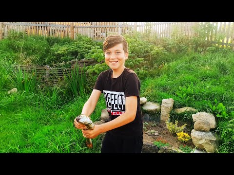 Видео: #карпаты #ворохта Рыбалка в Ворохте.Ловим форель.