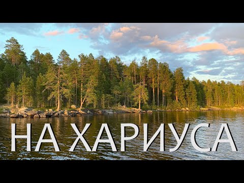 Видео: НА ХАРИУСА В СЕВЕРНУЮ КАРЕЛИЮ! ПЕРЕМЕНЧИВОЕ ЛЕТО 2024!