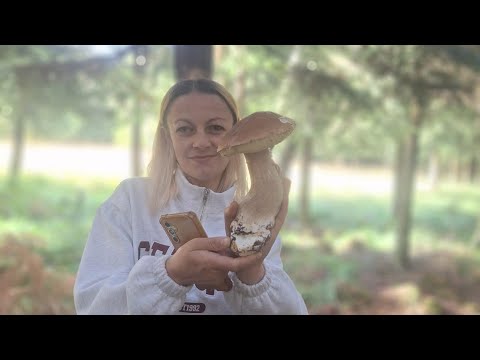 Видео: Осенний сезон белых грибов открыт 🍄‍🟫🤷‍♀️