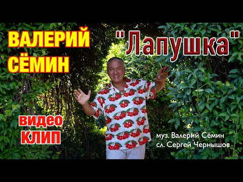 Видео: Поёт ВАЛЕРИЙ СЁМИН ❤️ Клип "ЛАПУШКА" ❤️ Очень красиво и душевно)))