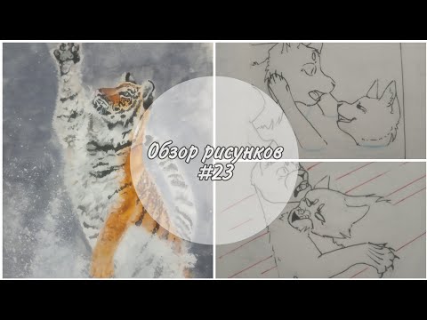 Видео: 🐾Обзор рисунков #23🐾Обзор рисунков котов,людей, тигров 🐾