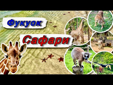 Видео: #15. Фукуок. Вьетнам. Сафари и пляж с морскими звездами.