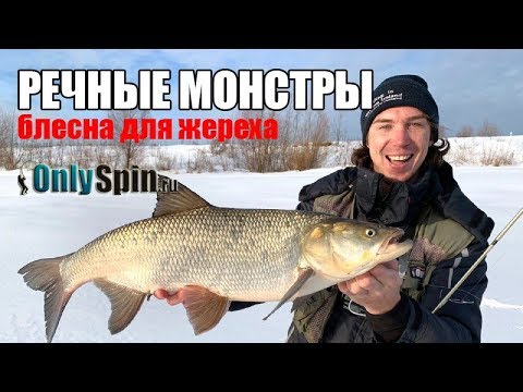 Видео: Ловля жереха на блесны  Трофейная рыбалка в Подмосковье  #OnlySpin