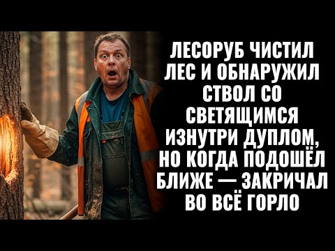 Видео: Лесоруб обнаружил ствол со светящимся изнутри дуплом, но когда подошёл ближе — закричал во всё горло