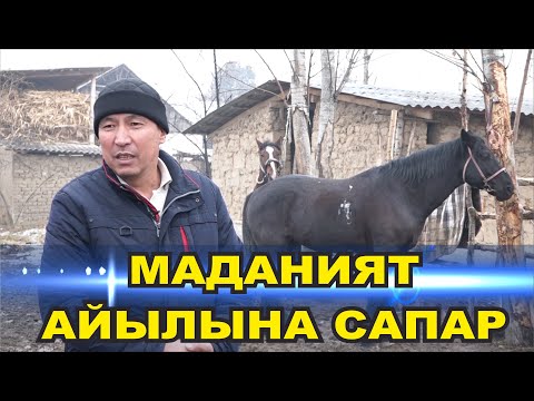 Видео: КАРА-СУУ РАЙОНУ//МАДАНИЯТ АЙЫЛЫ