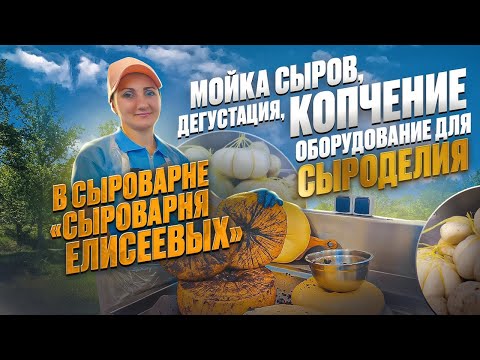 Видео: "Сыроварня Елисеевых"  / Мойка сыра, Копчение,  Дегустация сыра / Оборудование для сыроделия Maggio