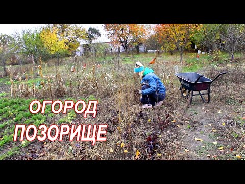 Видео: 🏡 Живу одна на краю села | Откровенно об огороде.