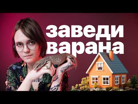 Видео: ВАРАНЫ САМЫЕ УМНЫЕ ЯЩЕРИЦЫ? КАКОГО ЗАВЕСТИ ДОМА?