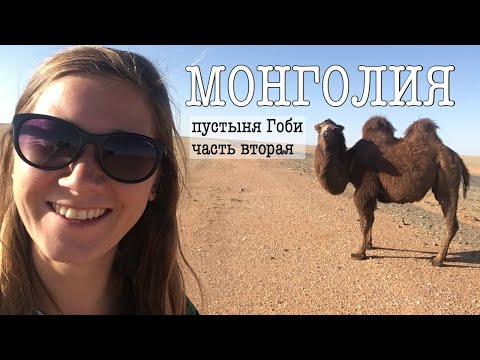 Видео: МОНГОЛИЯ. Пустыня Гоби / 2 / Каньон грифов Ёлын-Ам