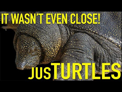 Видео: ЛУЧШИЙ зоомагазин, который я КОГДА-ЛИБО видел!