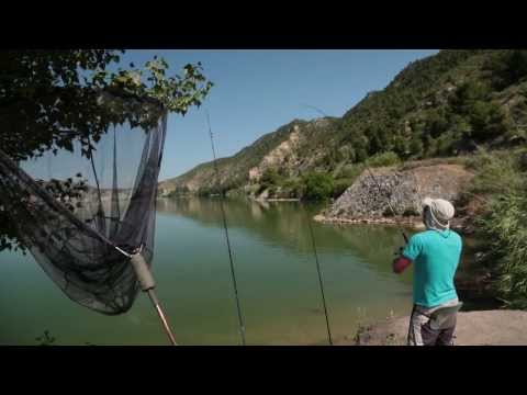 Видео: Диалоги о рыбалке. Испанский карп.