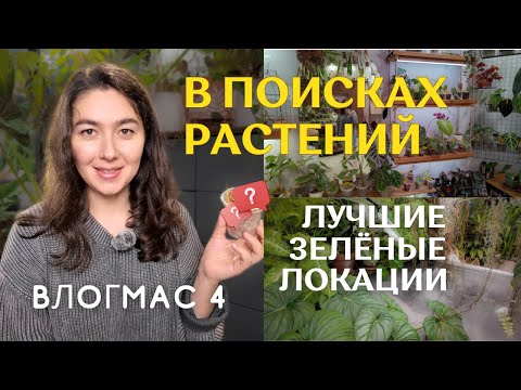 Видео: НЕОЖИДАННАЯ новинка | КРАСИВЫЕ пространства с РАСТЕНИЯМИ | ФЕСТИВАЛЬ в БОТСАДУ | Pro. Änta's и MMP