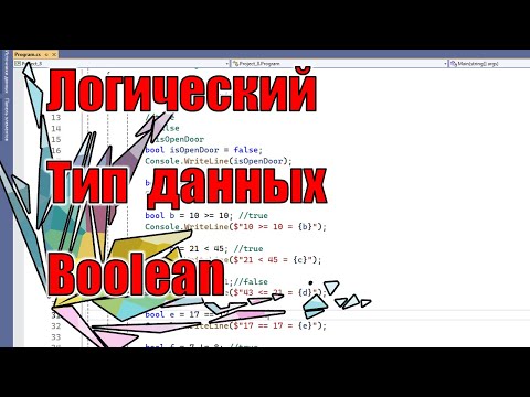 Видео: Логический тип данных bool | IX | C#