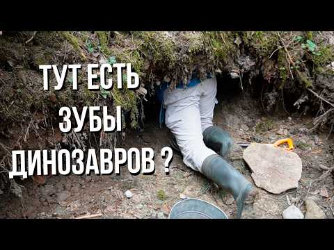 Видео: Что мы откопали в старом овраге? | Варавинский овраг!