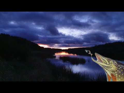 Видео: Плывем проверять ночные жерлицы на щуку. Река Угра.