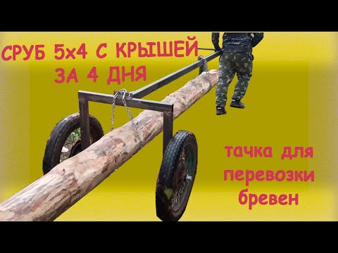 Видео: Строительство дома, бани 5х4 за 4 дня.