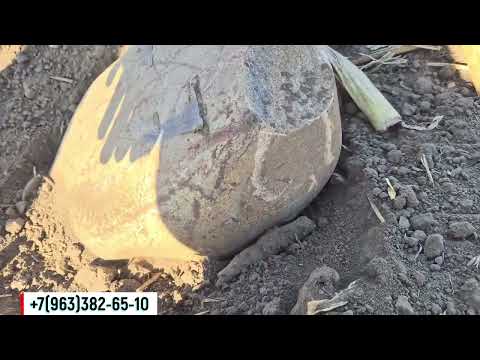 Видео: Дисковая борона Carbon D6000 работает  по кукурузе в республике КЧР  Ногайский район.