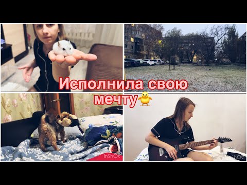 Видео: ВЛОГ Купила ЭЛЕКТРОГИТАРУ🎸/Переселяем хомяка в новый домик🐹