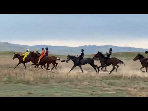 Видео: Аппаз ауылы Аламан бәйге 20 шақырым 09.05.2025