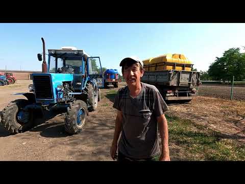Видео: У нас начались обкосы зерновых на полях! ( архивное видео )