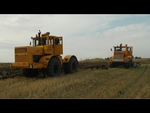 Видео: К-701 на пахоте день1