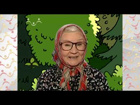 Видео: День в Шишкином Лесу. Загадкино. Эхо