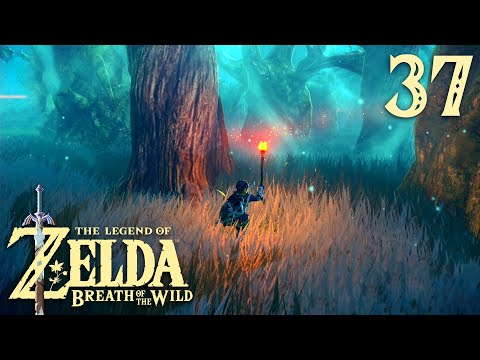 Видео: Лес Короков ※ The Legend of Zelda: Breath of the Wild #37