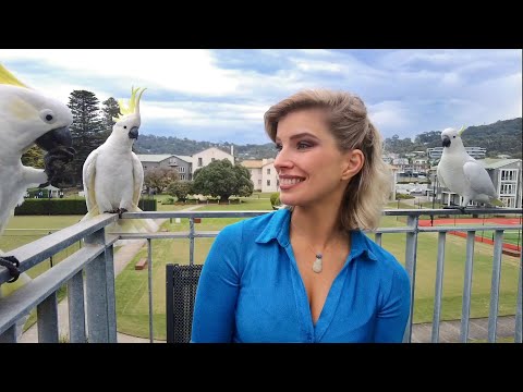 Видео: Опалы Австралии. Часть 3