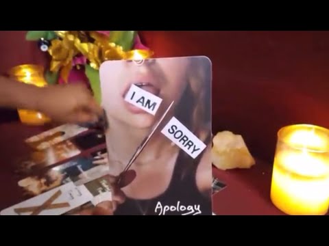 Видео: 😣Ужасно...то, что они сделали, даже не стоило того...