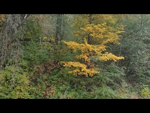 Видео: Дністер \ Була риба і юшка