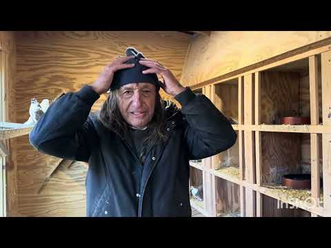 Видео: Николаевские голуби