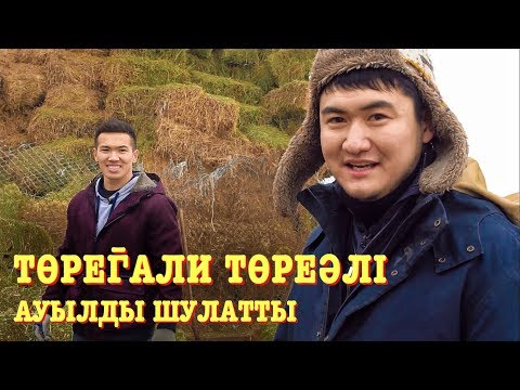 Видео: ТОРЕГАЛИ ТОРЕАЛИ НАВЕЛ ШУМИХУ В АУЛЕ