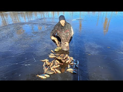 Видео: ПЕРВЫЙ ЛЁД 25-26. ОКУНЬ НА МОРМЫШКУ.