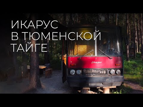 Видео: Место, где вас не найдут: Икарус в тайге / Тюменская область / @eto_stories