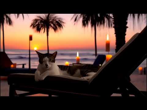 Видео: Лето, море и уютный кот 🐾😺 | Summer, Sea and Cozy Cat