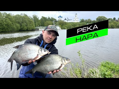 Видео: ЛОВЛЯ ЛЕЩА НА ФИДЕР / РЫБАЛКА НА МАЛОЙ РЕКЕ / FROS FISHING