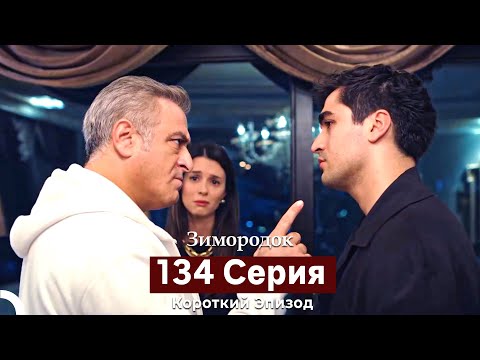 Видео: Зимородок 134 Cерия (Короткий Эпизод) (Русский дубляж)
